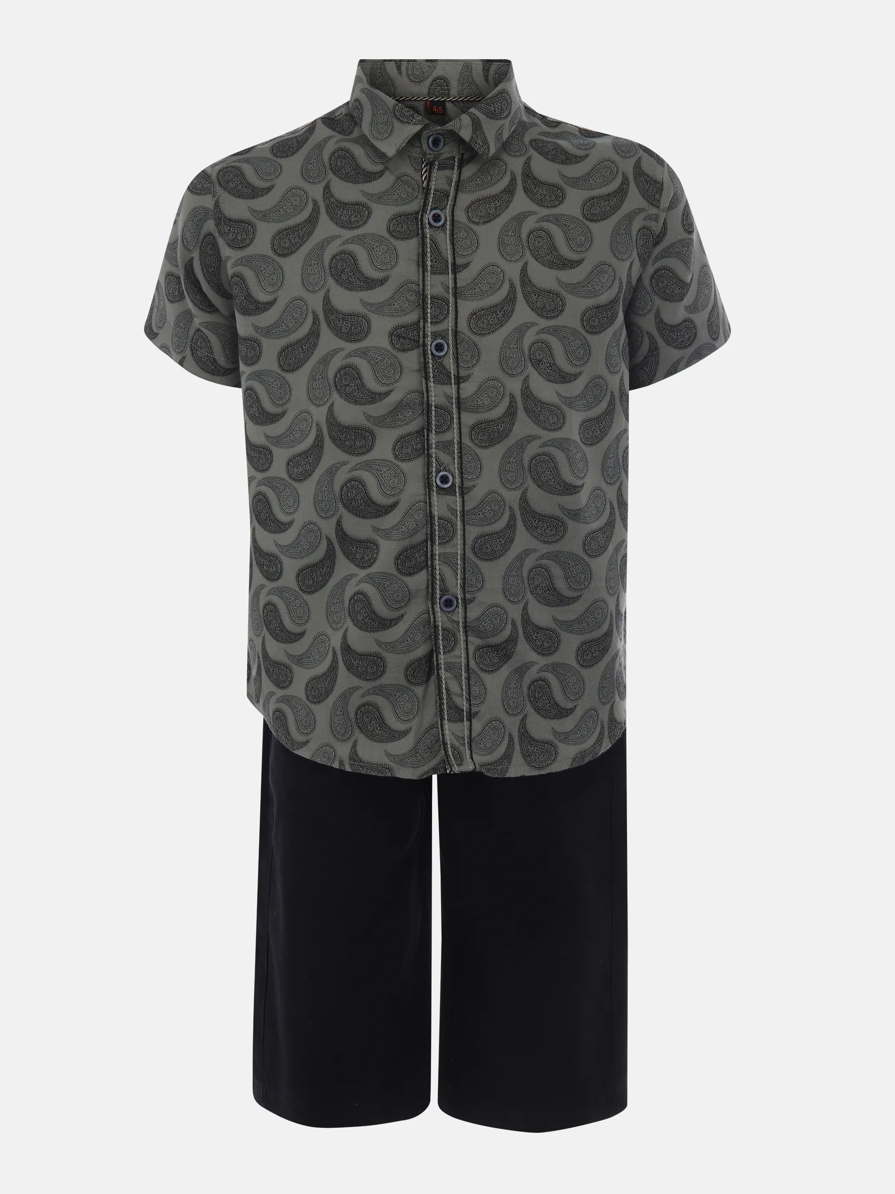 Sage Green Printed Cotton Shirt Pant Set